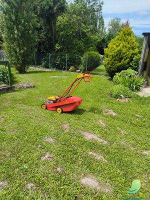 SR Parc et jardin - 4