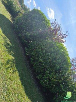 SR Parc et jardin - 3