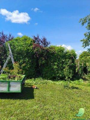 SR Parc et jardin - 2
