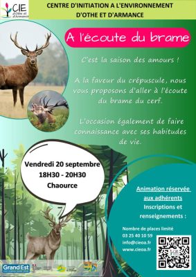 A l’écoute du brame - 0