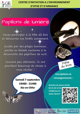 Papillons de lumière - 0