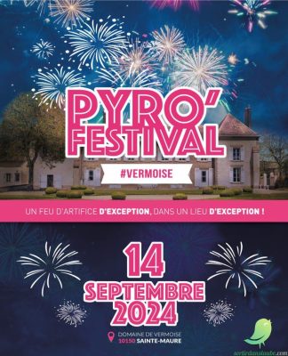 Pyro’Festival - 0