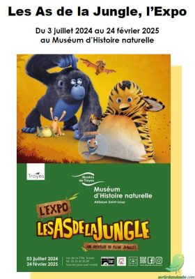 Exposition: Les As de la Jungle - 0