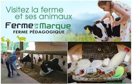 Ferme de la Marque - 0