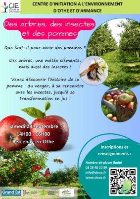 Des arbres des insectes et des pommes - 0