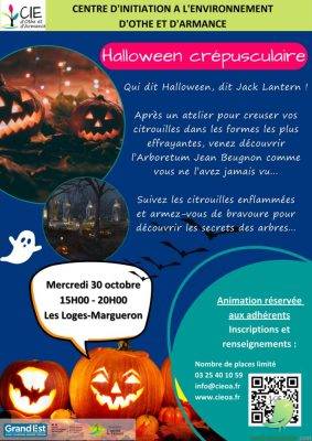 Halloween crépusculaire - 0