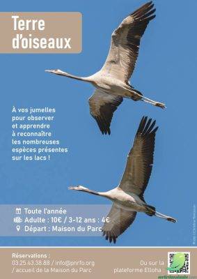 Terre d’oiseaux - 0
