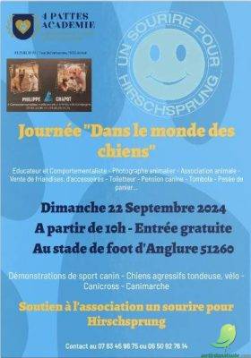 Journée dans le monde des chiens - 0