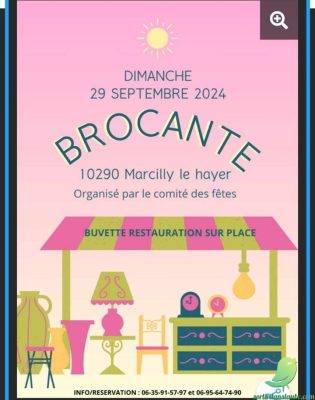 Vide grenier: Marcilly le Hayer - 0