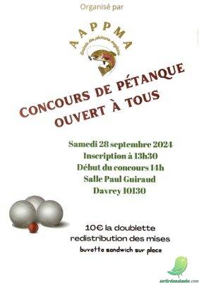 Concours de pétanque - 0
