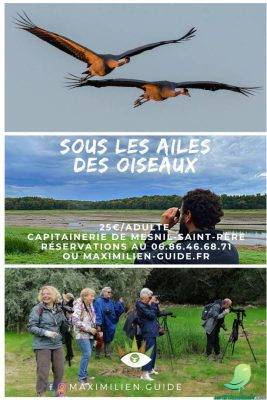 Sous les ailes des oiseaux - 0