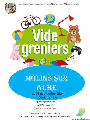 Vide grenier: Molins sur Aube - 0