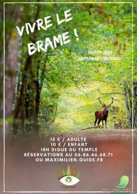 Vivre le brame du cerf - 0