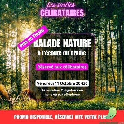 « Les Sorties Célibataires » : Balade nature « A l&rsquo;écoute du brame » - 0