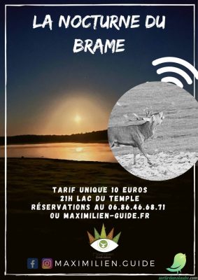 La nocturne du brame - 0