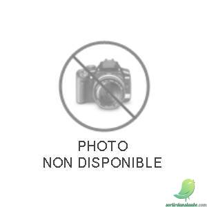 FAITES DU SPORT EN MUSIQUE A BOUILLY - 0