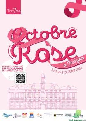 Octobre Rose à Troyes - 0