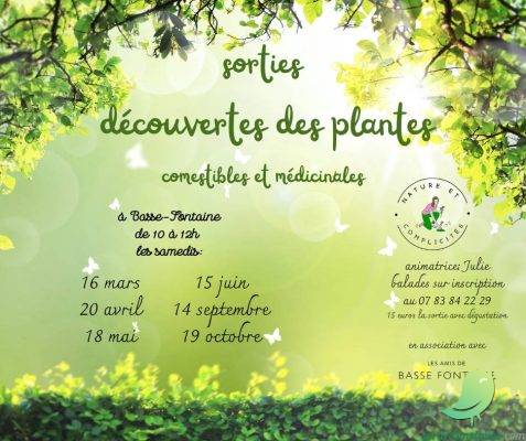 Atelier : Autour des plantes sauvages et dégustation de tisanes - 0
