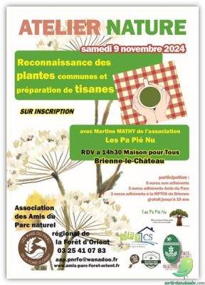 Atelier nature « reconnaissance des plantes communes et préparation de tisanes » - 0