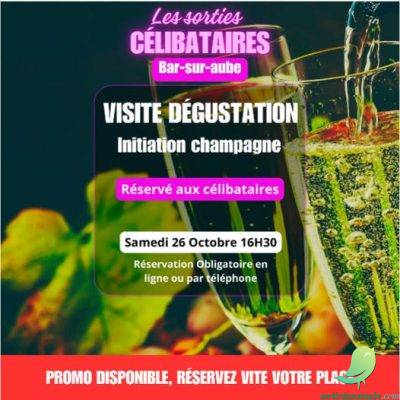 Les Sorties Célibataires - 0