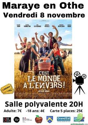 Cinéma: C&rsquo;est le monde à l&rsquo;envers ! - 0