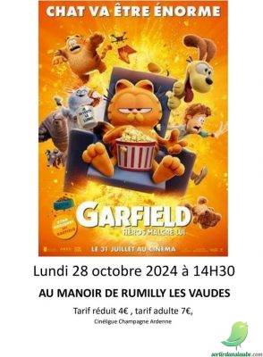 Cinéma: Garfield : Héros malgré lui - 0