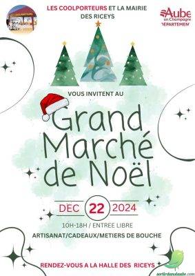 Marché de Noel: les Riceys - 0