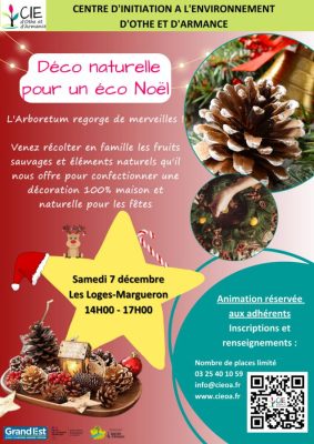 Déco naturelle pour un éco Noël - 0