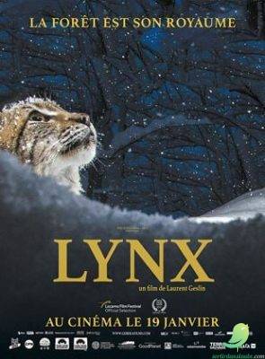 Cinéma: Lynx - 0