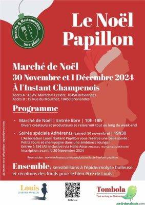 Soirée le Noel Papillon - 0
