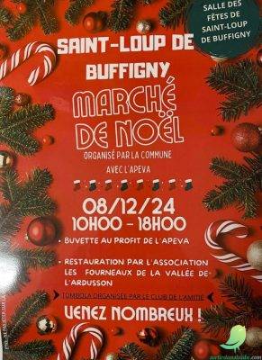 Marché de Noel: Saint Loup de Buffigny - 0