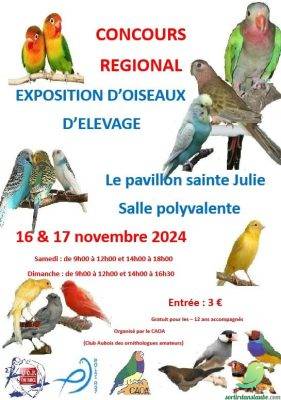 Exposition d&rsquo;oiseaux d&rsquo;élevage - 0