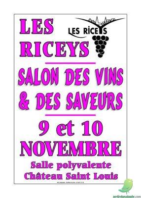 Salon des vins et des saveurs - 0