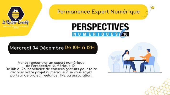 Permanence d&rsquo;un expert numérique PN10 - 0