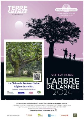 Concours de l&rsquo;Arbre de l&rsquo;Année - 0
