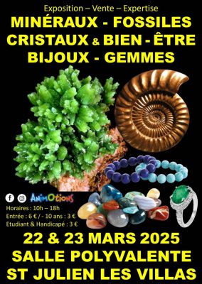 Salon Minéraux Fossiles Cristaux & Bien-Être Bijoux et Gemmes - 0