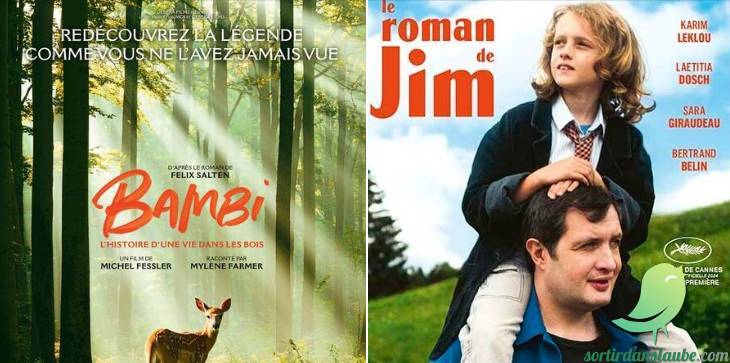 Séances cinéma - 0
