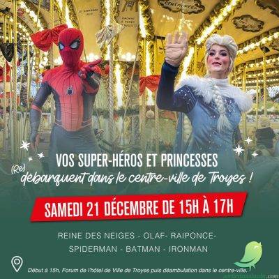 Animations de Noel à Troyes - 1