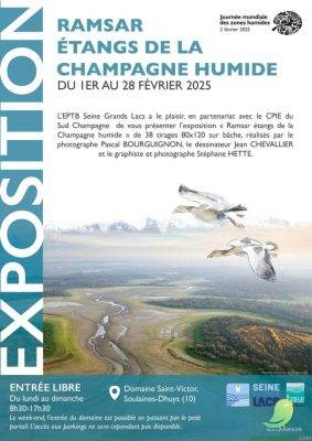 Exposition: Ramsar étangs de la Champagne humide - 0