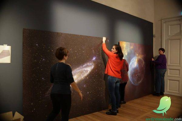 Visite guidée exceptionnelle de l&rsquo;exposition « Météorites, entre ciel et terre » - 2