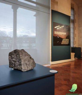 Visite guidée exceptionnelle de l&rsquo;exposition « Météorites, entre ciel et terre » - 1