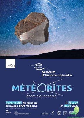 Visite guidée exceptionnelle de l&rsquo;exposition « Météorites, entre ciel et terre » - 0