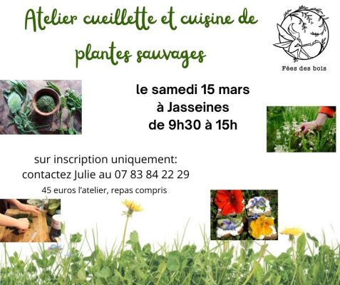 Atelier cueillette et cuisine de plantes sauvages - 0