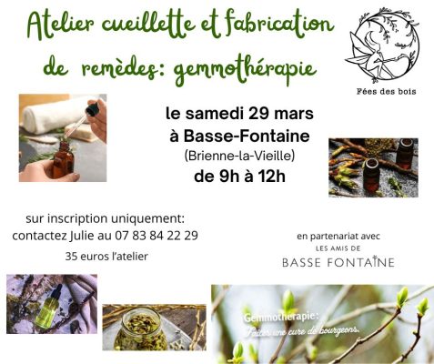 Atelier cueillette et gemmothérapie - 0
