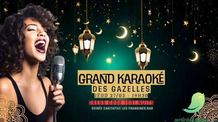 Grand karaoké caritatif - 0