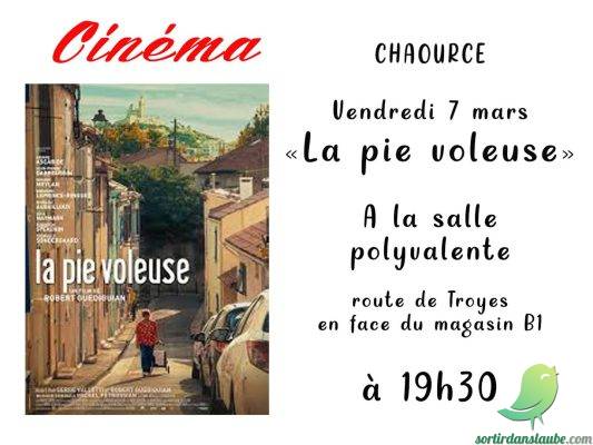 Cinéma: La Pie voleuse - 0