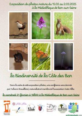Exposition: photos nature - 0