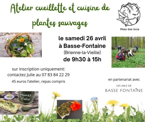 Atelier cueillette et cuisine de plantes sauvages - 0