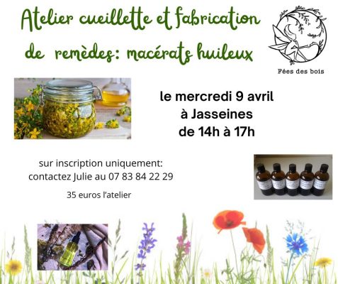 Plantes sauvages et remèdes - 0