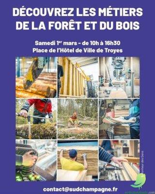 Découverte des métiers de la forêt et du bois - 0